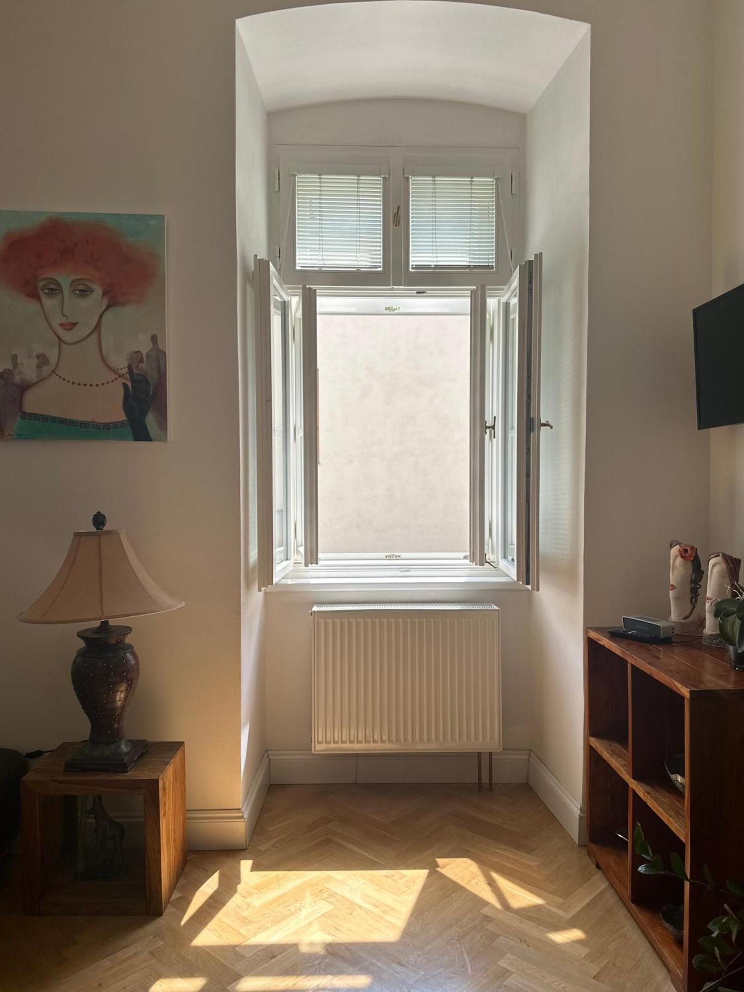 Comfort Apartment Brno-City Center Dış mekan fotoğraf